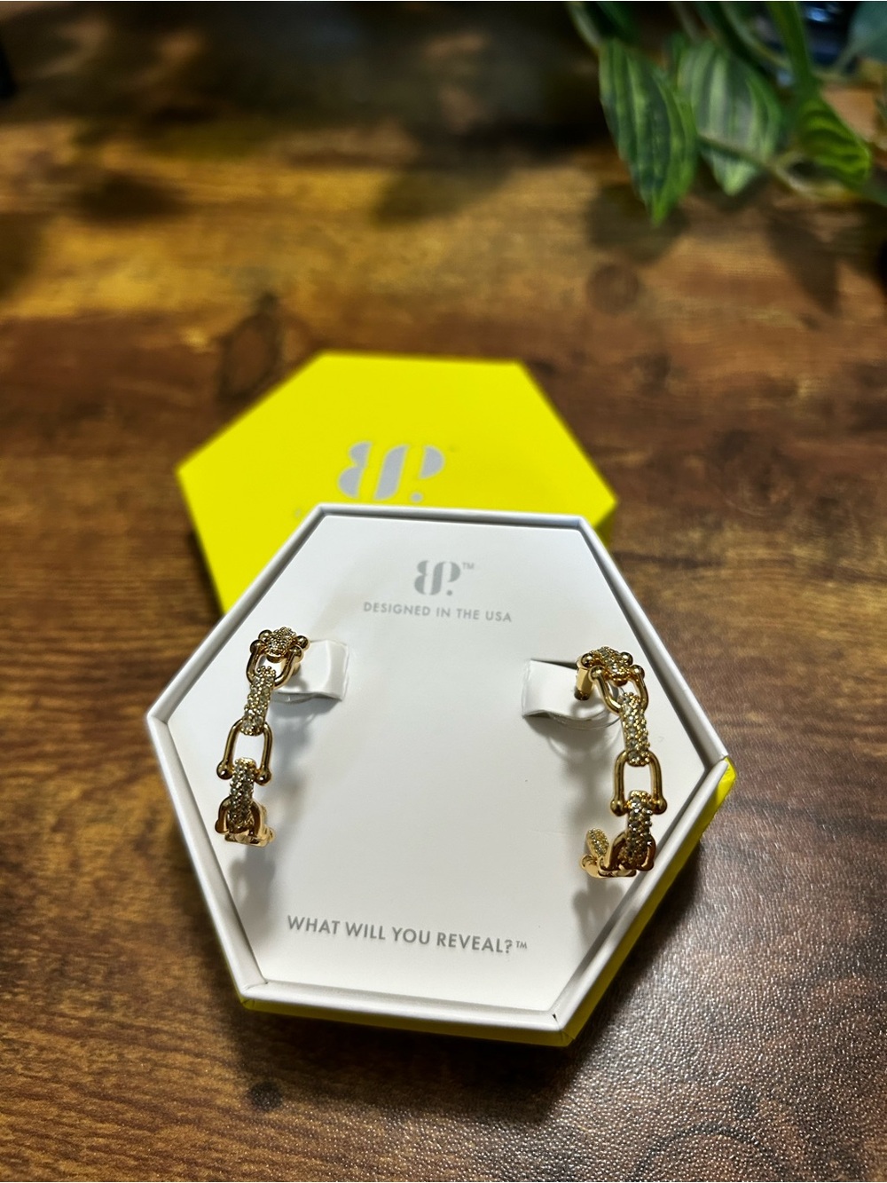 Bomb Party “Can’t Outshine Me” Gold Hoop Earrings